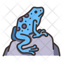 Poison Dart Frogs Icon