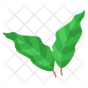 Poison Ivy Leaf Icon