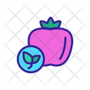 Organic Foods Pomegranate Icon