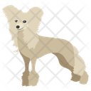 Poodle Icon