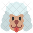 Poodle Dog Pet Icon