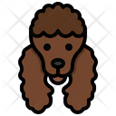 Poodle Icon