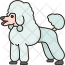 Poodle Dog Icon