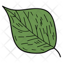 Poplar Leaf Leaf Foliage Icon
