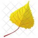 Poplar Leaf Leaf Autumn Leaf Icon
