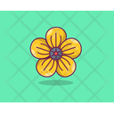 Poppy Spring Flower Agriculture Icon