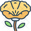 Poppy Papaveraceae Mawseed Icon