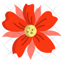 Poppy Flower Flowers Icon
