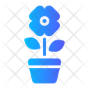 Poppy Beautiful Floral Icon