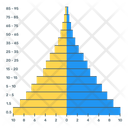 Population Pyramid Icon