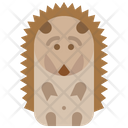 Porcupine Hedgehog Animal Icon