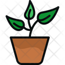 Flower Plant Pot Icon