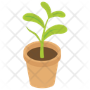 Pot Plant Icon
