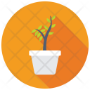 Potted Plant Flowering Icon