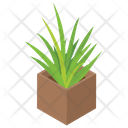 Potted Plant Garden Plant Plant Growing Icon