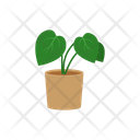 Flower Plant Potted Icon