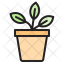 Potted Plant Potted Plant Pot Icon