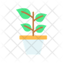 Potted Plant Indoor Plant Plant Icon