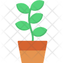 Potted Plant Agronomy Growth Icon
