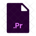 Pr Type Pr Format Adobe Premiere Pro Icon