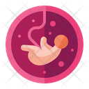 Pregnancy Baby Fetus Icon