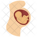 Baby Womb Fetal Development Pregnancy Icon