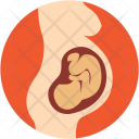 Baby Womb Pregnant Icon