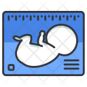 Ultrasound Pregnancy Report Icon