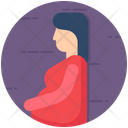 Pregnant Pregnancy Pregnant Lady Icon