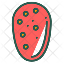 Prickly Pear Icon