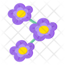 Primrose Flower Icon