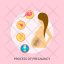 Process Of Pregnancy Icon
