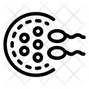 Reproduction Embryogenesis Procreation Icon