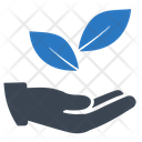 Business Startup Plantation Icon