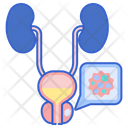 Prostate Cancer Cancer Check Icon