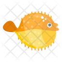 Puffer Fish Tetraodontidae Marine Animal Icon