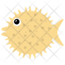 Puffer Fish  Icon