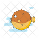 Puffer Fish Puffer Fish Icon