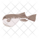 Pufferfish Puffer Fish Icon