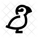 Puffin Bird Icon