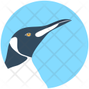 Puffin Bird Hummingbird Icon