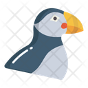 Puffin Emperor Bird Icon