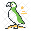 Puffin Bird Wildlife Icon