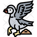 Puffin Seabird Wildlife Icon