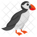 Puffin Icon