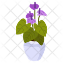 Purple Anthurium Icon