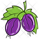 Purple Radish Radish Vegetable Icon