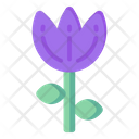 Purple Tulip Icon