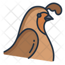Quail Birds Bird Icon