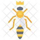 Queen Bee Honey Bee Beekeeper Icon